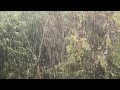 It's Raining