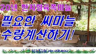 한지형육쪽마늘 씨마늘고르는방법 필요수량계산하기