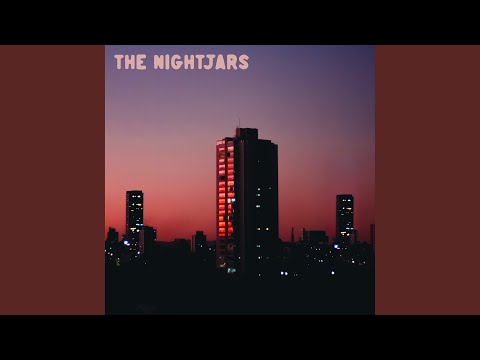 Nightjars video
