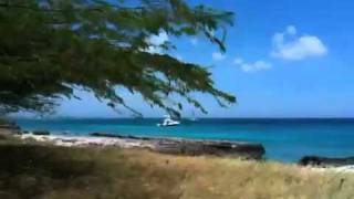 Today's Weather Forecast for Aruba