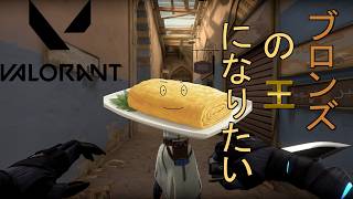 【Valorantコンペ】ブロンズの王となれ【Valorant初心者】