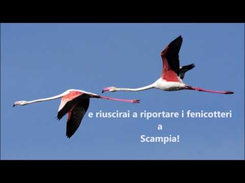 'O maè  Matteo Parravicini   3^B Paola di Rosa