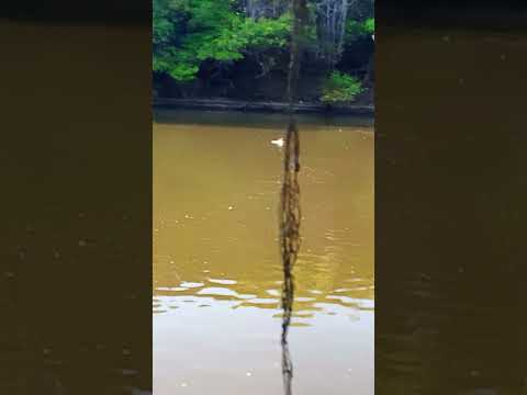 Rio Urubu . Lagoa da Confusão TO