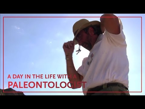 Palaeontologist video 2