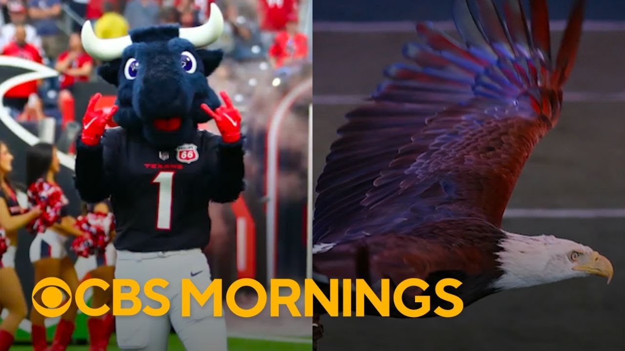 Meet the mascots and beloved animals behind NFL teams