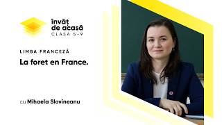 ”La foret en France”