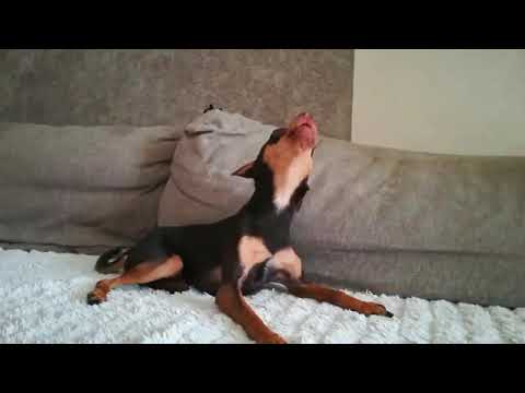 вот это голос！