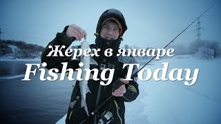 Ловля жереха зимой