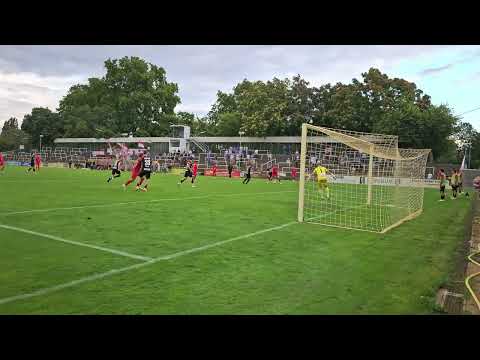 VfR Mannheim - TSG Backnang / Das 1:1 durch Enes Olgun Tubluk