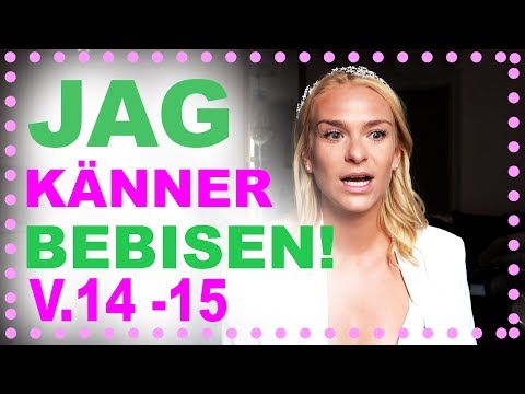 Gravid vecka för vecka 14-15