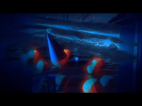 Smallpools - life of the party (Official Video)