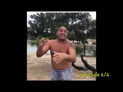 A inveja mata tiririca vídeos engraçados