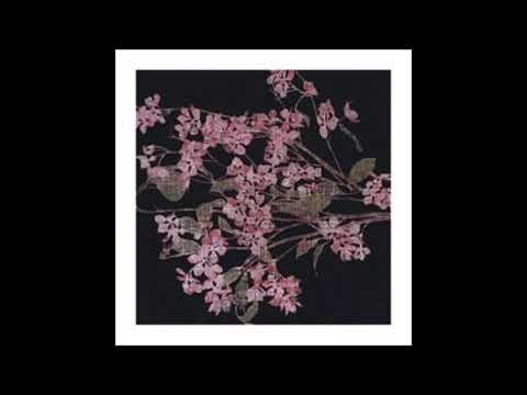 Video de la casa en Juriquilla, Querétaro