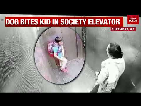 Pet Dog Bites Kid In Ghaziabad's Residential Society Elevator, Owner Remains Unfazed | WATCH