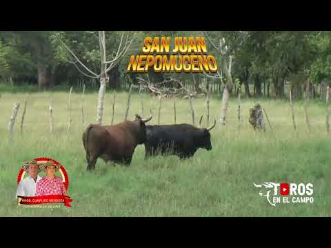 SAN JUAN NEPOMUCENO 2025 - 2026  Toros de los Hermanos Cumplido Mendoza