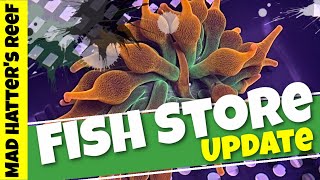 Fish Store Update | One Take Sunday