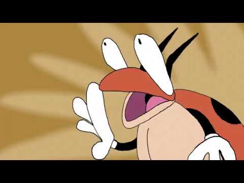 Pokemon ledyba adventures