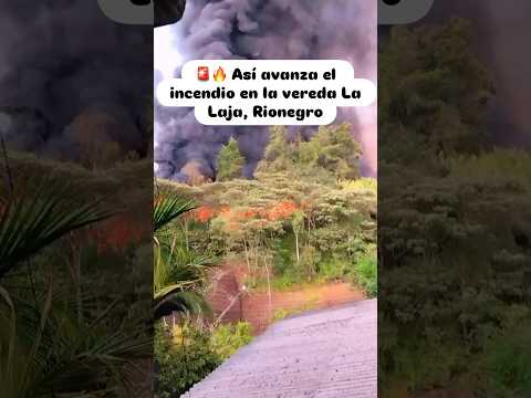 🔥 Gran incendio en Rionegro