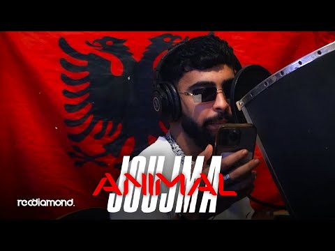 Joujma - Animal (Freestyle)
