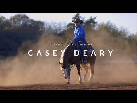 Maverick - Americasnexttopgun