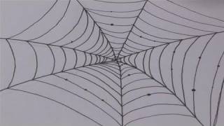 How To Sketch A Spider Web