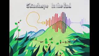 Skinshape - In The End video