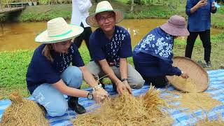 02 06 66 โรงเรียนสังวาลย์วิท 5 จัดกิจกรรมเกี่ยวข้าวพันธุ์ช่อขิง กับชาวสังวาลย์  ปลุกวัยใสรู้คุณค่าข้