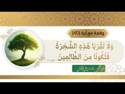 40/ وقفة مع آية || خالد بن علي أبا الخيل