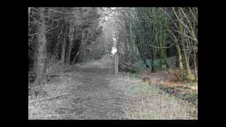 The Demesne Forest Park, Fintona, County Tyrone.