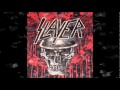 SLAYER ~ POINT ( Diabolus in Musica ) With LYRICS