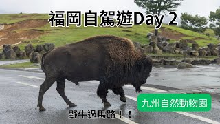 [遊記] 福岡自駕遊2:九州動物園、別府地獄溫泉