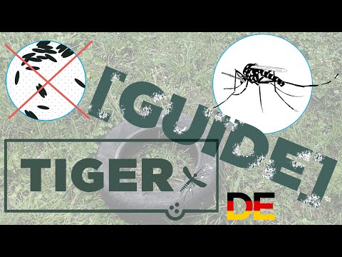 Tigermücken Prävention - Altreifen [TIGER Guide]