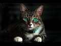 Ray Conniff - Cat's in the cradle (HD) (CC)