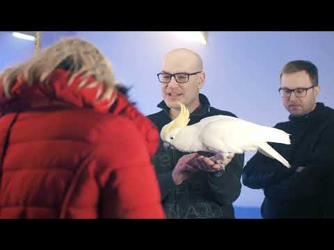 BTS - AFTERMOVIE - Mutumutu