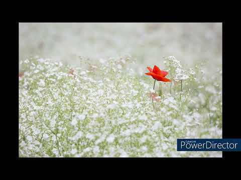 Duch Sv. v nás  16. časť  -  Od oddelenia do Jednoty s Bohom