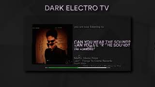 The Horrorist - Can You Hear The Sound? (EBM / Minimal / Rhythm 'n' Noise) (2001)