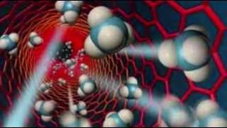 Bionight - Technofly (Egoheart)