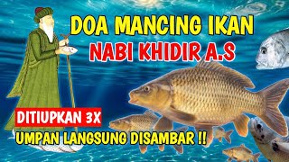 Download lagu VERY EFFECTIVE FISHING PRAYER // PRAYER FOR FISHING // PROPHET KHIDIR'S FISHING PRAYER - Prove it... mp3 Download lagu VERY EFFECTIVE FISHING PRAYER // PRAYER FOR FISHING // PROPHET KHIDIR'S FISHING PRAYER - Prove it... mp3