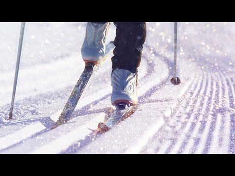 20 февраля пройдет зимний спортивный праздник "Гомельская лыжня" видео