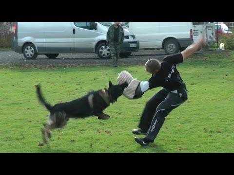 Urri z Kurimskeho Haje - IPO Protection Training - December 2013