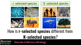 Difference between r-selected and k-selected species