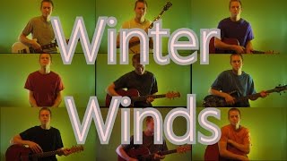 Winter Winds - Mumford and Sons Cover