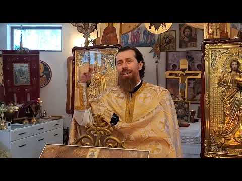 Întuneric și Lumină . Pr. Claudiu Melean 11.01.2026