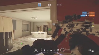 【PS4/R6S】テロハン楽しい・・・