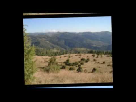 Pensiunea Ajnad (Ajnad Panzio) v1.3