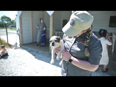 Kennel Tour 127