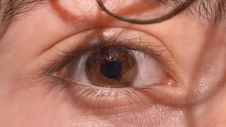 Eye of the Creator