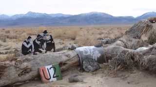 U2 JOSHUA TREE MEMORIES