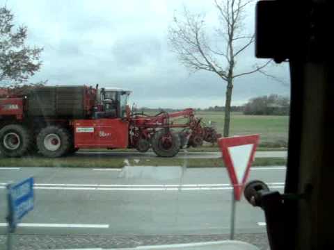 peerke op volle toeren