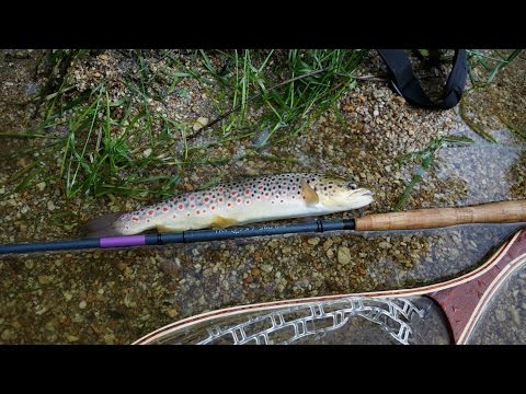 Tenkara Brown Trout